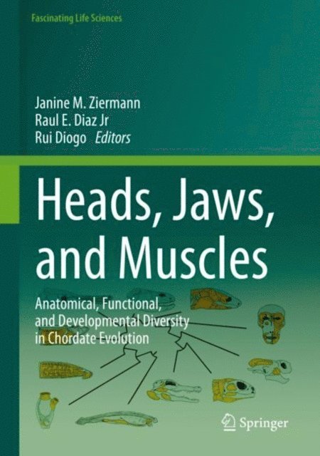 Rui Diogo, Raul E. Diaz Jr, Janine M. Ziermann - Heads, Jaws, and Muscles, E-bok