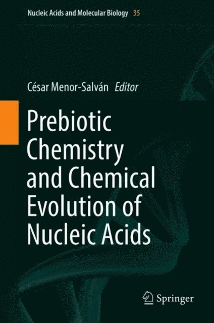 Cesar Menor-Salvan - Prebiotic Chemistry and Chemical Evolution of Nucleic Acids, E-bok
