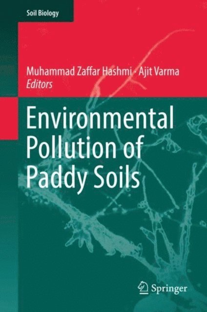 Ajit Varma, Muhammad Zaffar Hashmi - Environmental Pollution of Paddy Soils, E-bok