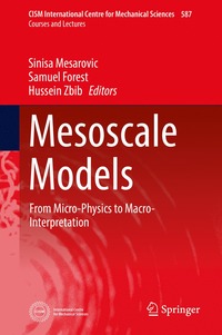 Mesoscale Models