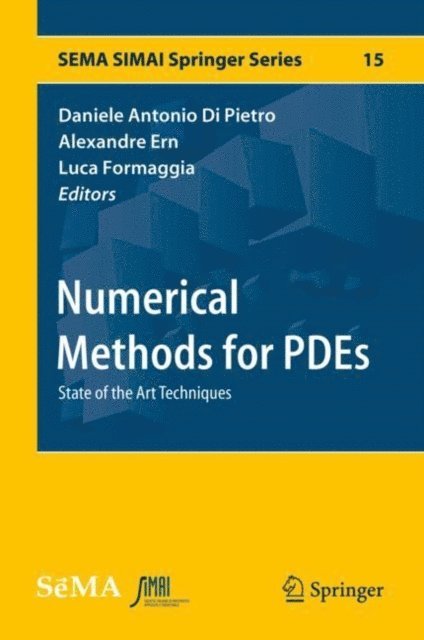 Luca Formaggia, Alexandre Ern, Daniele Antonio Di Pietro - Numerical Methods for PDEs, E-bok