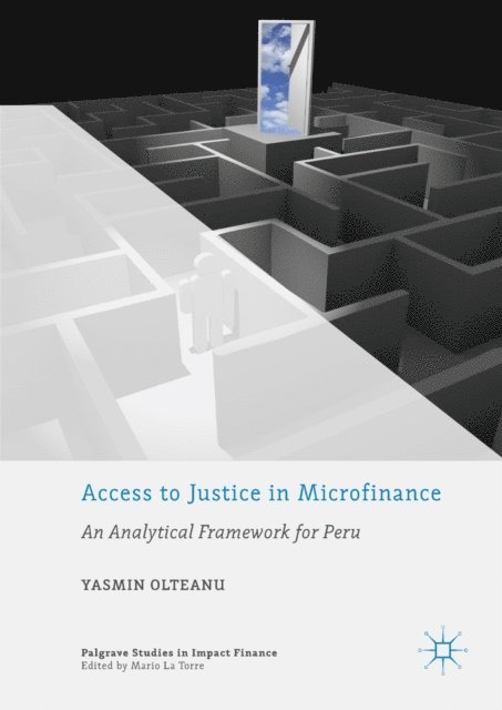 Yasmin Olteanu - Access to Justice in Microfinance, E-bok