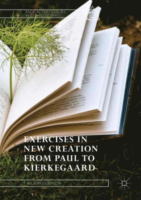 T. Wilson Dickinson - Exercises in New Creation from Paul to Kierkegaard, E-bok