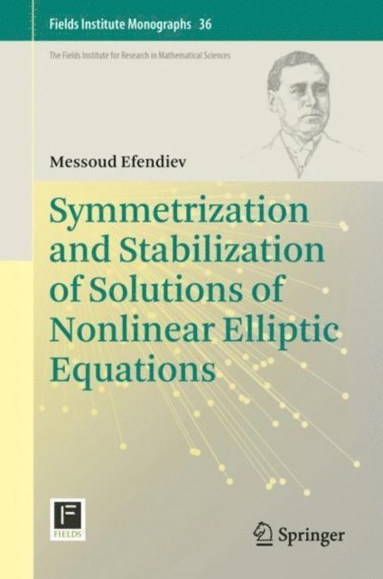 Messoud Efendiev - Symmetrization and Stabilization of Solutions of Nonlinear Elliptic Equations, E-bok