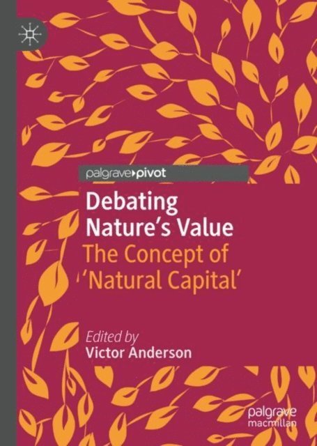 Victor Anderson - Debating Nature's Value, E-bok