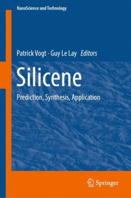 Guy Le Lay, Patrick Vogt - Silicene, E-bok