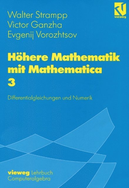 Evgenij V. Vorozhtsov, Victor Ganzha, Walter Strampp - Höhere Mathematik mit Mathematica, E-bok
