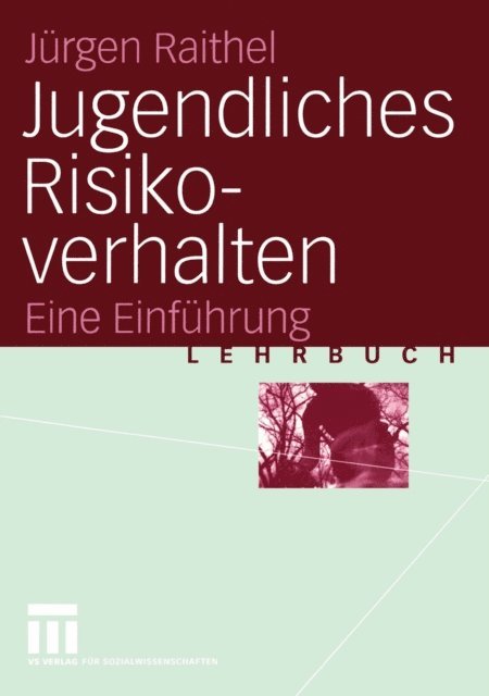 Jurgen Raithel - Jugendliches Risikoverhalten, E-bok