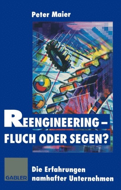 Peter Maier - Reengineering — Fluch oder Segen?, E-bok