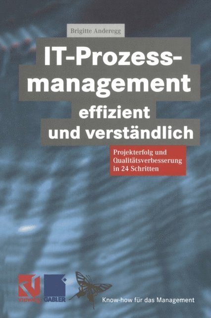Brigitte Anderegg - IT-Prozessmanagement effizient und verständlich, E-bok