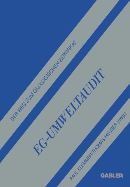 Thomas Meuser, Paul Klemmer - EG-Umweltaudit, E-bok