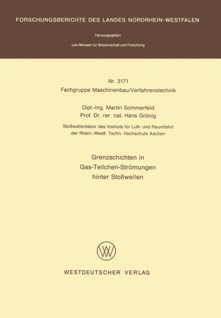 Martin Sommerfeld - Grenzschichten in Gas-Teilchen-Strömungen hinter Stoßwellen, E-bok