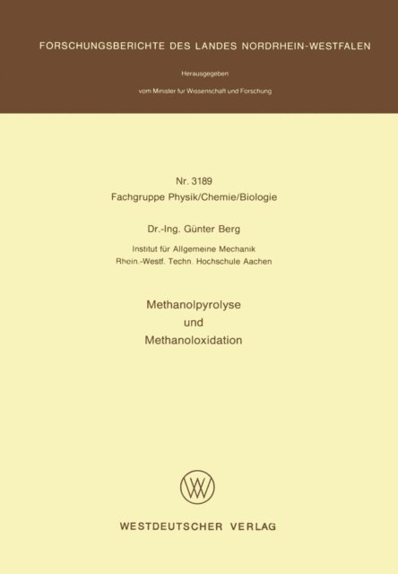 Gunter Berg - Methanolpyrolyse und Methanoloxidation, E-bok