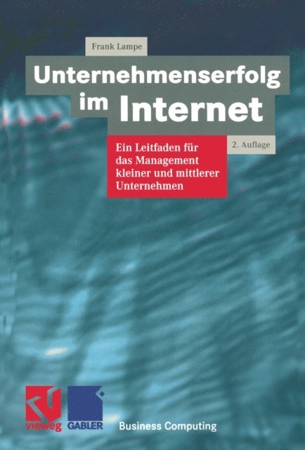 Frank Lampe, Frederik Ramm - Unternehmenserfolg im Internet, E-bok