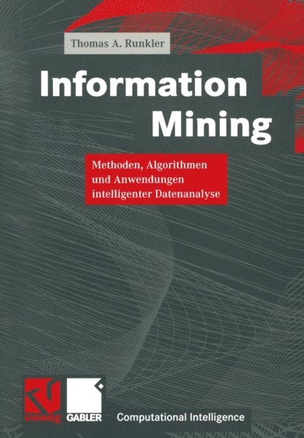 Thomas A. Runkler - Information Mining, E-bok