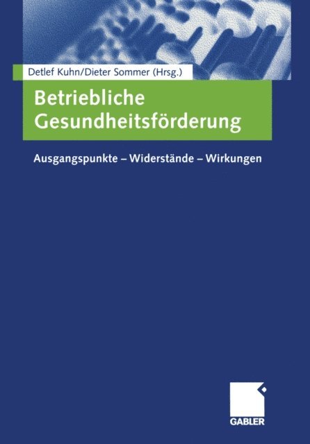 Dieter Sommer, Detlef Kuhn - Betriebliche Gesundheitsförderung, E-bok