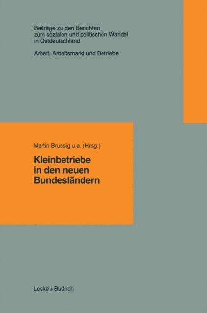Martin u.a. Brussig - Kleinbetriebe in den neuen Bundesländern, E-bok