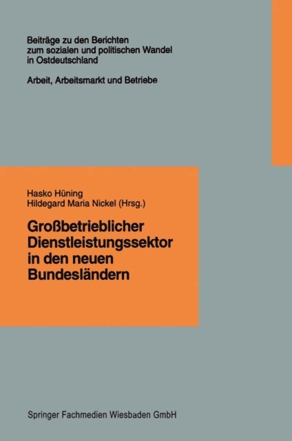 Hasko Huning - Großbetrieblicher Dienstleistungssektor in den neuen Bundesländern, E-bok