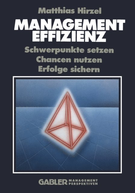 Matthias Hirzel - Management Effizienz, E-bok