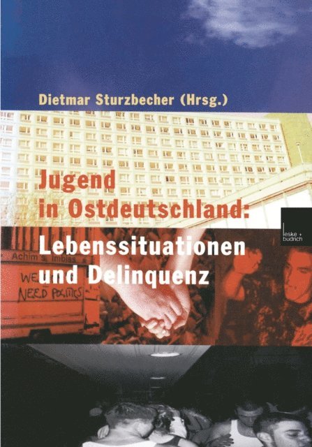Dietmar Sturzbecher - Jugend in Ostdeutschland: Lebenssituationen und Delinquenz, E-bok