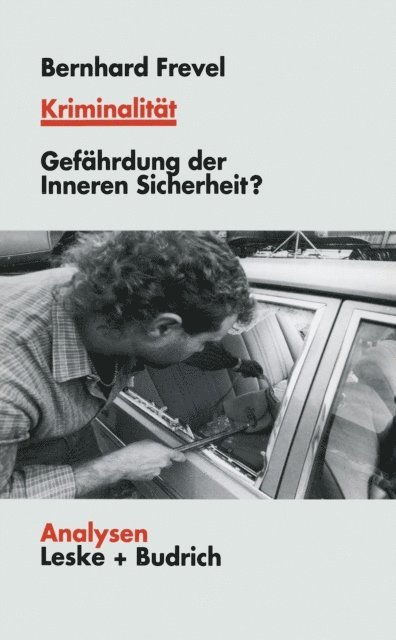 Bernhard Frevel - Kriminalität, E-bok