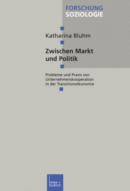 Katharina Bluhm - Zwischen Markt und Politik, E-bok