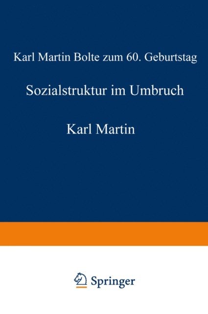 Stefan Hradil - Sozialstruktur im Umbruch, E-bok