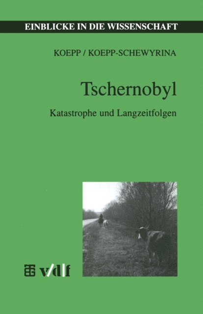 Tatjana Koepp-Schewryna - Tschernobyl, E-bok