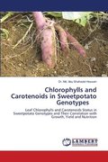 Chlorophylls and Carotenoids in Sweetpotato Genotypes