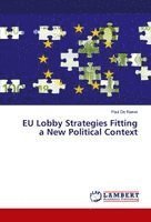 Paul de Raeve - EU Lobby Strategies Fitting a New Political Context, Häftad. Tillgänglighet: Lägg i varukorg