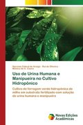 Uso de Urina Humana e Manipueira no Cultivo Hidroponico