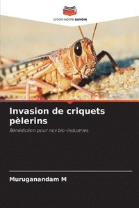 Invasion de criquets plerins