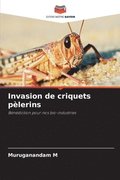 Invasion de criquets plerins