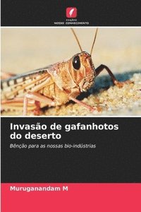 Invaso de gafanhotos do deserto