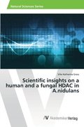 Scientific insights on a human and a fungal HDAC in A.nidulans