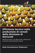 Efficienza tecnica nella produzione di cereali della divisione di Amravati
