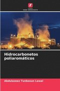 Hidrocarbonetos poliaromticos