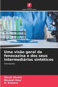Uma viso geral da fenoxazina e dos seus intermedirios sintticos