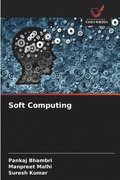 Soft Computing
