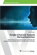 Single-Channel Speech Dereverberation