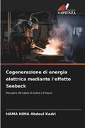 Cogenerazione di energia elettrica mediante l'effetto Seebeck
