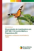 Diversidade de Lepidoptera em APP BR-116 trecho Mafra a Papanduva, SC