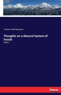 Thoughts on a Natural System of Fossils