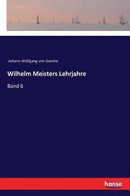 Johann Wolfgang Von Goethe - Wilhelm Meisters Lehrjahre, Häftad