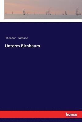 Theodor Fontane - Unterm Birnbaum, Häftad