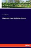 A Function of the Social Settlement