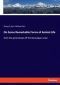 On Some Remarkable Forms of Animal Life