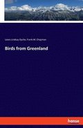 Birds from Greenland