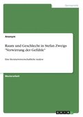 Raum und Geschlecht in Stefan Zweigs "Verwirrung der Gefhle"