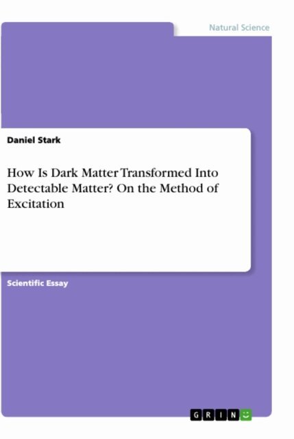 Daniel Stark - How Is Dark Matter Transformed Into Detectable Matter? On the Method of Excitation, E-bok